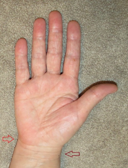 fotografii Wrist (poze) fotografii încheietura mâinii