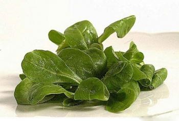 salata Meet porumb (adaugă celelalte ingrediente) Salata de porumb Meet