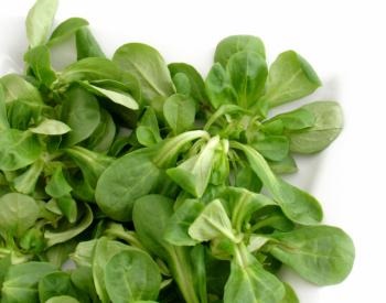 salata Meet porumb (adaugă celelalte ingrediente) Salata de porumb Meet
