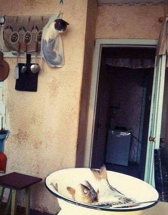 15 fotografii amuzante cu privire la modul de a trăi bine în România! (16 poze) iad (foto) 15 fotografii amuzante cu privire la modul de a trăi bine în România! (16 poze) iad
