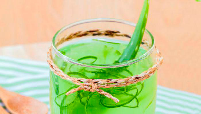 Aloe tratament șalazion la copii, retetele eficiente (tratament) Tratamentul șalazion Aloe la copii, retete eficiente