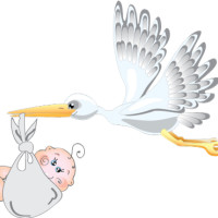 Sarcina cu polipi endometriali, etichete pe forum, am ramane insarcinata (endometru) Sarcina cu polipi endometriali, etichete pe forum, am ramane insarcinata