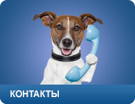 clinica veterinara gratuit la Moscova!