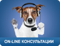 clinica veterinara gratuit la Moscova!