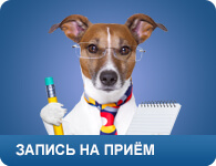 clinica veterinara gratuit la Moscova!