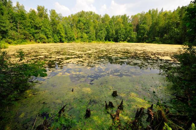 ceață neagră la lacul Shaitanka - zone aberante - Noutăți