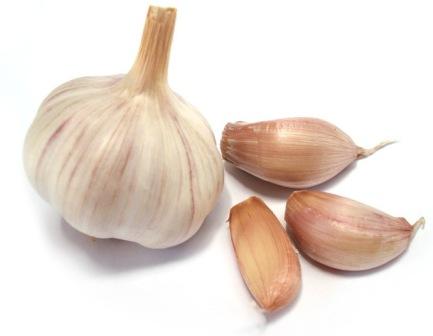 Usturoiul - antibiotic natural, stil de viață sănătos - este ușor! (Proprietatile benefice ale usturoiului) Usturoiul - antibiotic natural, stil de viață sănătos - este ușor!
