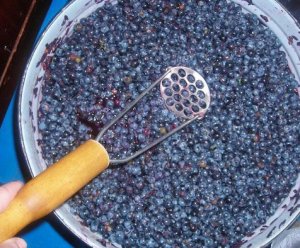 Casa de vinuri - Isabella cele mai bune sfaturi cu privire la gătit și rețete (Isabella vin) Casa de vin - Isabella cele mai bune sfaturi cu privire la gătit și rețete
