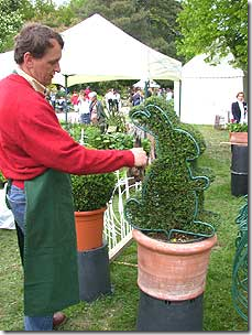 coafura buclat arbori și arbuști decorativi, topiary propriile mâini