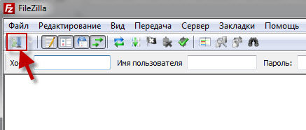 Ftp client FileZilla - configurare și de a folosi managerul faylzilla FTP (ftp faylzila manager) Ftp client FileZilla - configurare și de a folosi managerul faylzilla ftp