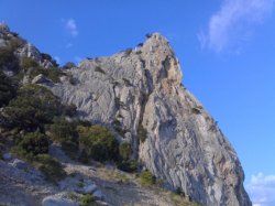 Munții din Crimeea - pisica de munte, coordonate, fotografii, cum se ajunge acolo (pisica) Munții din Crimeea - pisica de munte, coordonatele, fotografii, cum să obțineți