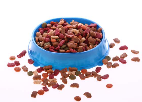 Cum mai bine pentru a alimenta mâncare pentru câini (vitamine de crestere sanatoasa) Ce o mai bună hrană pentru a hrăni câinele