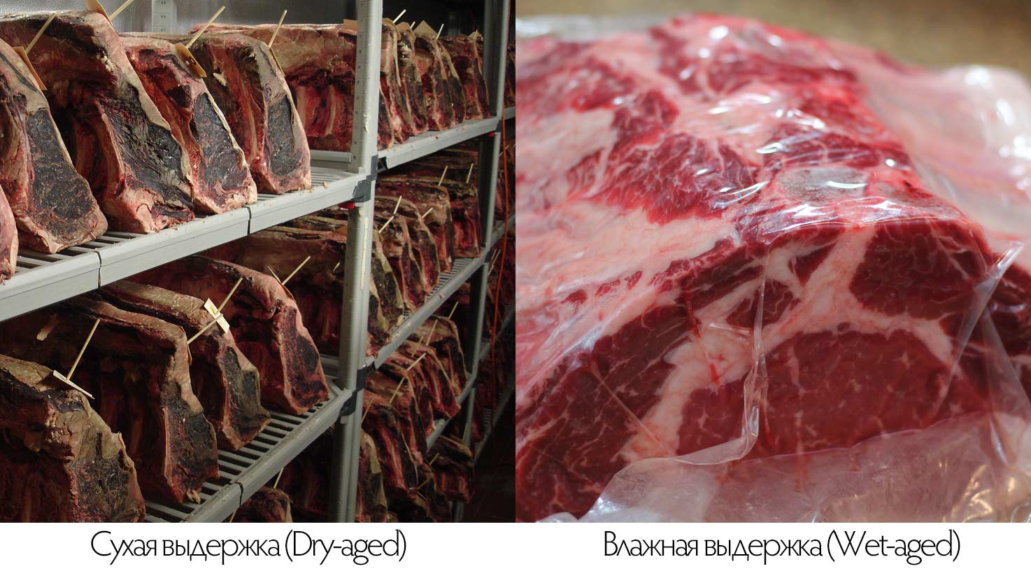 Cum de a găti friptura modul de a alege tipurile de carne pentru fripturi friptură, fripturi grad de prăjire (tibon) Cum de a găti friptura modul de a alege tipurile de carne pentru fripturi friptură, fripturi grad de prăjire