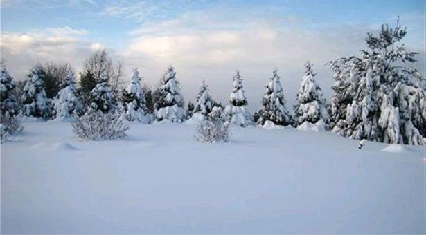 climatice Tundra în România și America de Nord