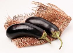 Atunci când se plantează răsaduri de vinete (sol aterizare vinete) La plantare răsaduri de vinete