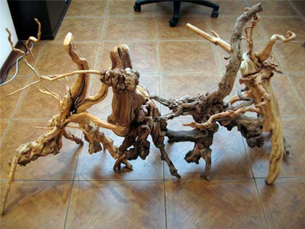 Driftwood pentru acvariu - în cazul în care pentru a găsi și cum să se ocupe (acvariu) Driftwood pentru acvariu - în cazul în care pentru a găsi și cum să trateze