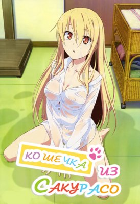 Cat de sakuraso (sakurasou) Cat de sakuraso