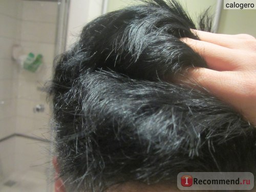 păr de colorare L 'Oreal copil minune - «ea nu se aștepta un astfel de rezultat! Paint bine (copil minune) păr de colorare L 'Oreal copil minune - «ea nu se aștepta un astfel de rezultat! Pictura fină