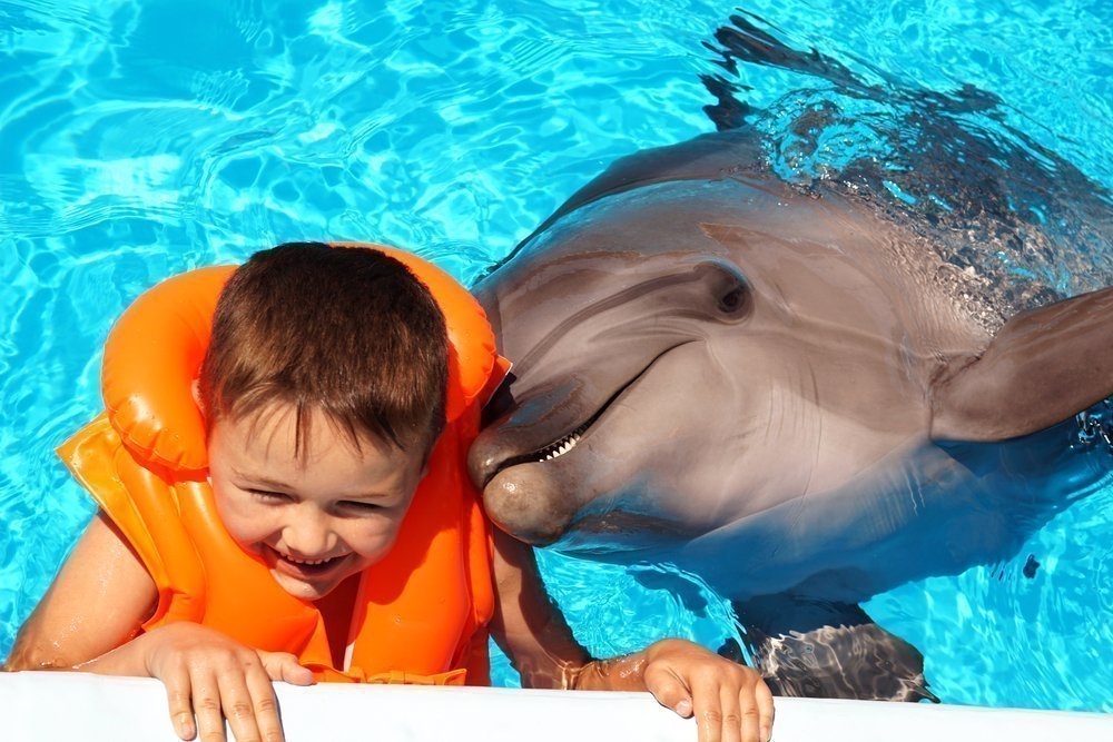 Tratamentul copiilor cu ajutorul animalelor delfinilor (via) Tratamentul copiilor cu ajutorul animalelor delfin