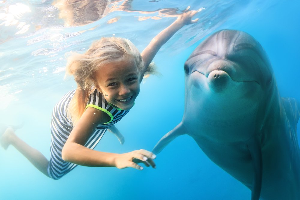 Tratamentul copiilor cu ajutorul animalelor delfin (articole despre sănătate) Tratamentul copiilor cu ajutorul animalelor delfin