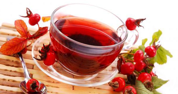 Infuzia de măceș beneficii și rău, instrucțiuni de utilizare (rau) Infuzia de măceș beneficii și rău, instrucțiuni de utilizare