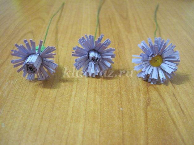 Culori de toamnă (Quilling) flori de toamnă