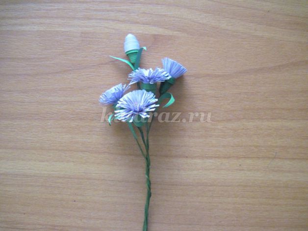 Culori de toamnă (autor) flori de toamnă