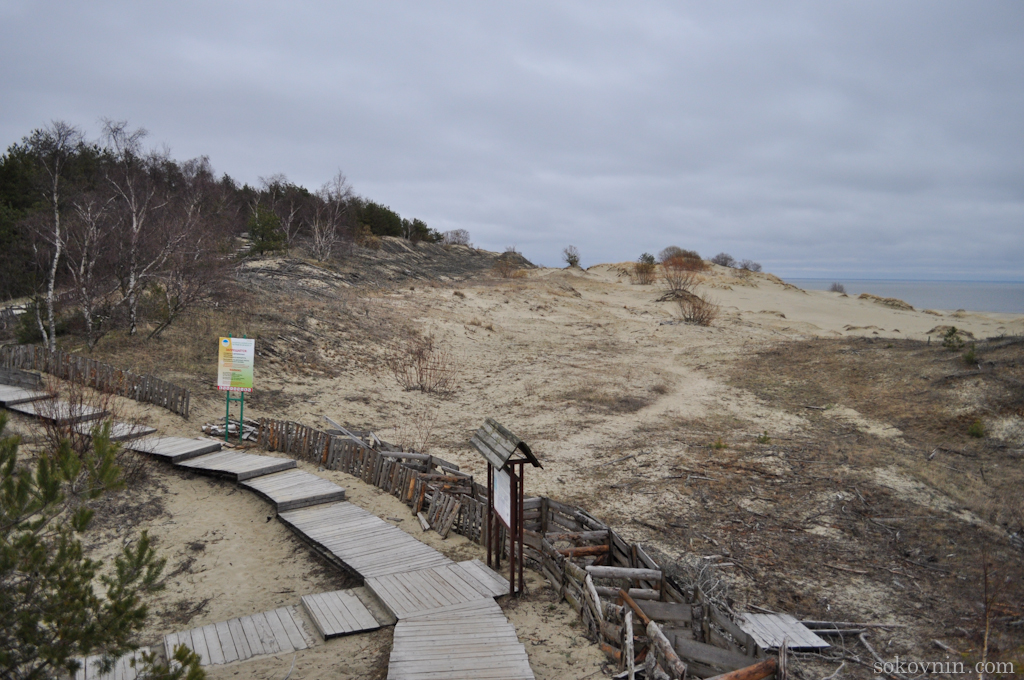 O excursie la Curonian Spit - Dancing Pădurea și dună EFA, de călătorie și câștiguri independente în