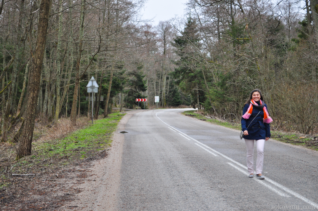 O excursie la Curonian Spit - Dancing Pădurea și dună EFA, independent de călătorie și câștigurile în (dans) O excursie la Curonian Spit - Dancing Pădurea și dună EFA, de călătorie și câștiguri independente în