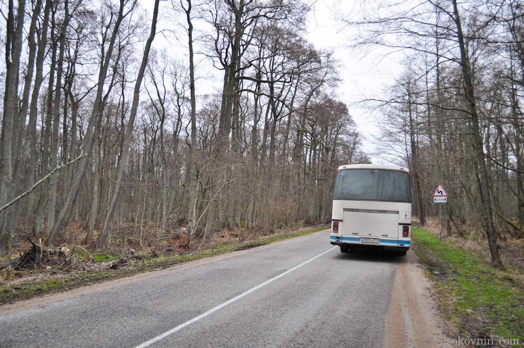 O excursie la Curonian Spit - Dancing Pădurea și dună EFA, independent de călătorie și câștigurile în (coasă) O excursie la Curonian Spit - Dancing Pădurea și dună EFA, de călătorie și câștiguri independente în