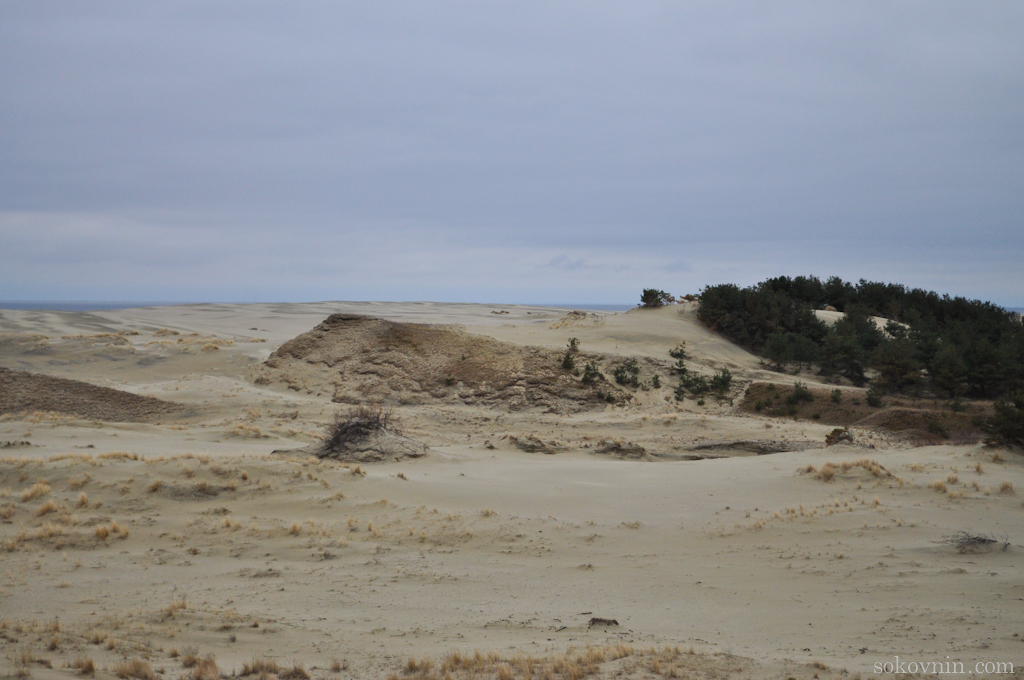 O excursie la Curonian Spit - Dancing Pădurea și dună EFA, de călătorie și câștiguri independente în