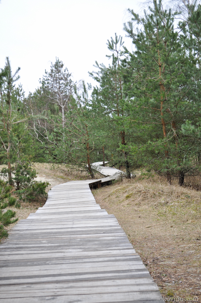 O excursie la Curonian Spit - Dancing Pădurea și dună EFA, de călătorie și câștiguri independente în