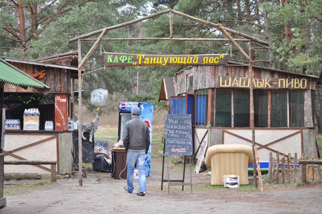 O excursie la Curonian Spit - Dancing Pădurea și dună EFA, de călătorie și câștiguri în independente (Dune) O excursie la Curonian Spit - Dancing Pădurea și dună EFA, de călătorie și câștiguri independente în