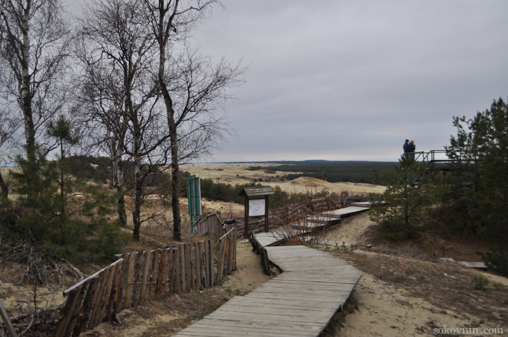O excursie la Curonian Spit - Dancing Pădurea și dună EFA, de călătorie și câștiguri în independente (Courland) O excursie la Curonian Spit - Dancing Pădurea și dună EFA, de călătorie și câștiguri independente în