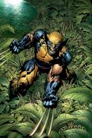biografia completa Wolverine (partea 1) - info wolverine - site despre Wolverine (complet) biografia completa Wolverine (partea 1) - info wolverine - site despre Wolverine