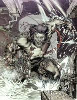 biografia completa Wolverine (partea 1) - info wolverine - site despre Wolverine (Wolverine) biografia completa Wolverine (partea 1) - info wolverine - site despre Wolverine
