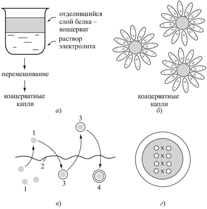 Prebiological (chimic) evoluție (uscată) Prebiological (chimice) evoluția