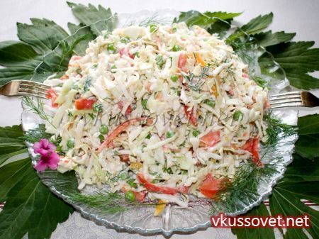 Coleslaw si rosii reteta cu pas cu pas fotografii (varză) Coleslaw si rosii reteta cu pas cu pas fotografii