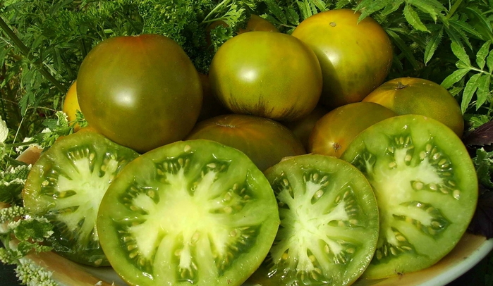 Cele mai delicioase și recoltând soiuri de roșii, verzi fotografii, recenzii, videoclipuri (cele mai multe) Cele mai delicioase și rezultând soiuri de tomate verzi, fotografii, recenzii, videoclipuri