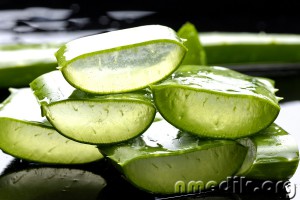 Suc de Aloe - proprietăți utile, prepararea și utilizarea (obținere) Suc de Aloe - proprietăți utile, preparare și utilizare