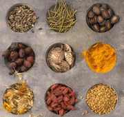 Condimente mirodenii în loc de medicamente și plante aromatice și proprietățile lor curative proprietăți de vindecare (condimente și ierburi și proprietățile lor de vindecare) Condimente și ierburi în loc de condimente droguri și plante aromatice și proprietățile lor de vindecare proprietăți de vindecare