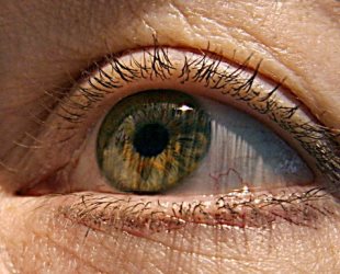 Listă de retiniene diagnosticului bolii, tratamentul si prevenirea (retinei) Listă de retiniene diagnosticului bolii, tratamentul și prevenirea