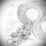 desene sau modele tatuaj dragon și imagini de dragoni