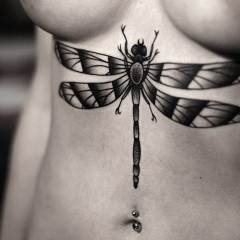 Dragonfly tatuaj - ceea ce înseamnă schițe tatuaj și fotografii