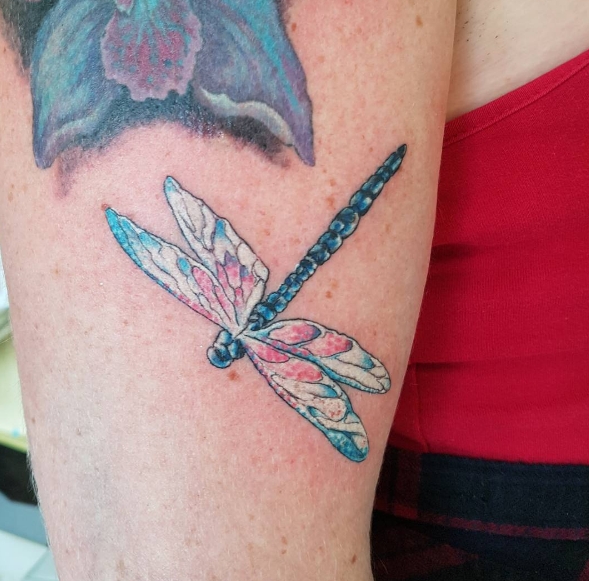 Tatuaj valoare Dragonfly tatuaj, 35 de fotografii, schițe