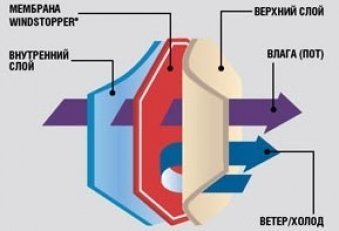 Care este diferența dintre membrană și vindstoperom-tex gore (gore-tex) Care este diferența dintre membrană și vindstoperom Gore-Tex