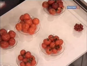 Totul despre tomate, se transferă cel mai important lucru pentru a viziona on-line canal România (on-line) Totul despre tomate, se transferă cel mai important lucru pentru a viziona canalul on-line România