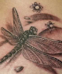 Înțeles tatuaje „Dragonfly“