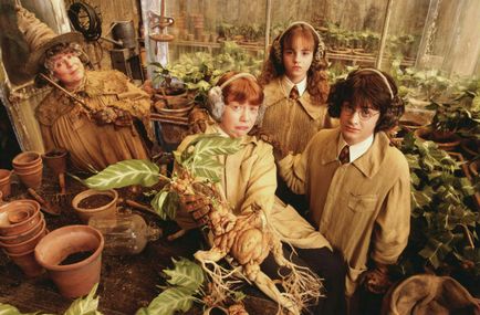 10 Magic din Harry Potter rețete (rețete) 10 rețete magice din Harry Potter
