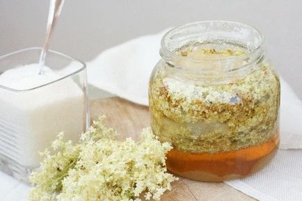 gem primăvară 10 Rețetă (păpădie) 10 Rețete pentru Spring Jam
